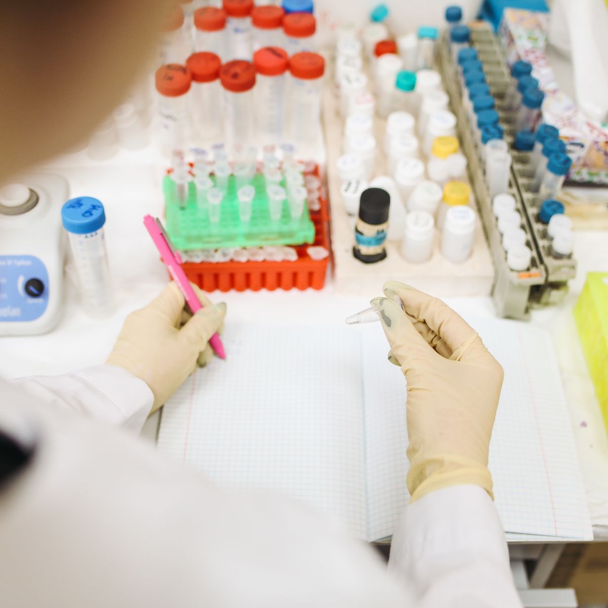 Laboratuvar ortamında gıda örneği mikrobiyolojik test analizi yapan bilim insanı